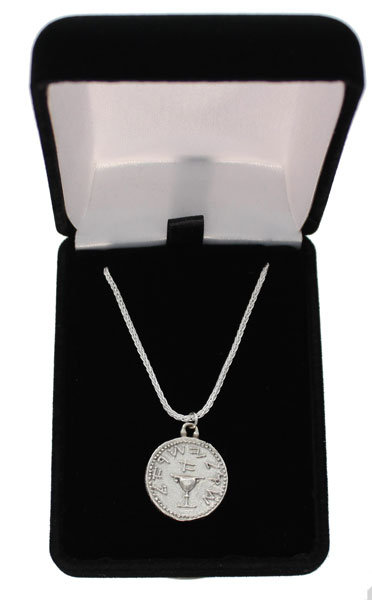 Shekel of Judea's First Jewish Revolt Sterling Silver Pendant | Coin ...