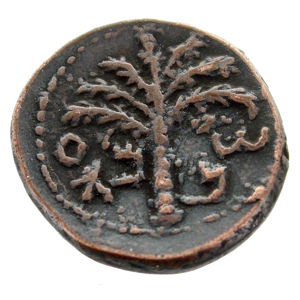 Bar Kochba Revolt Small Bronze Coin